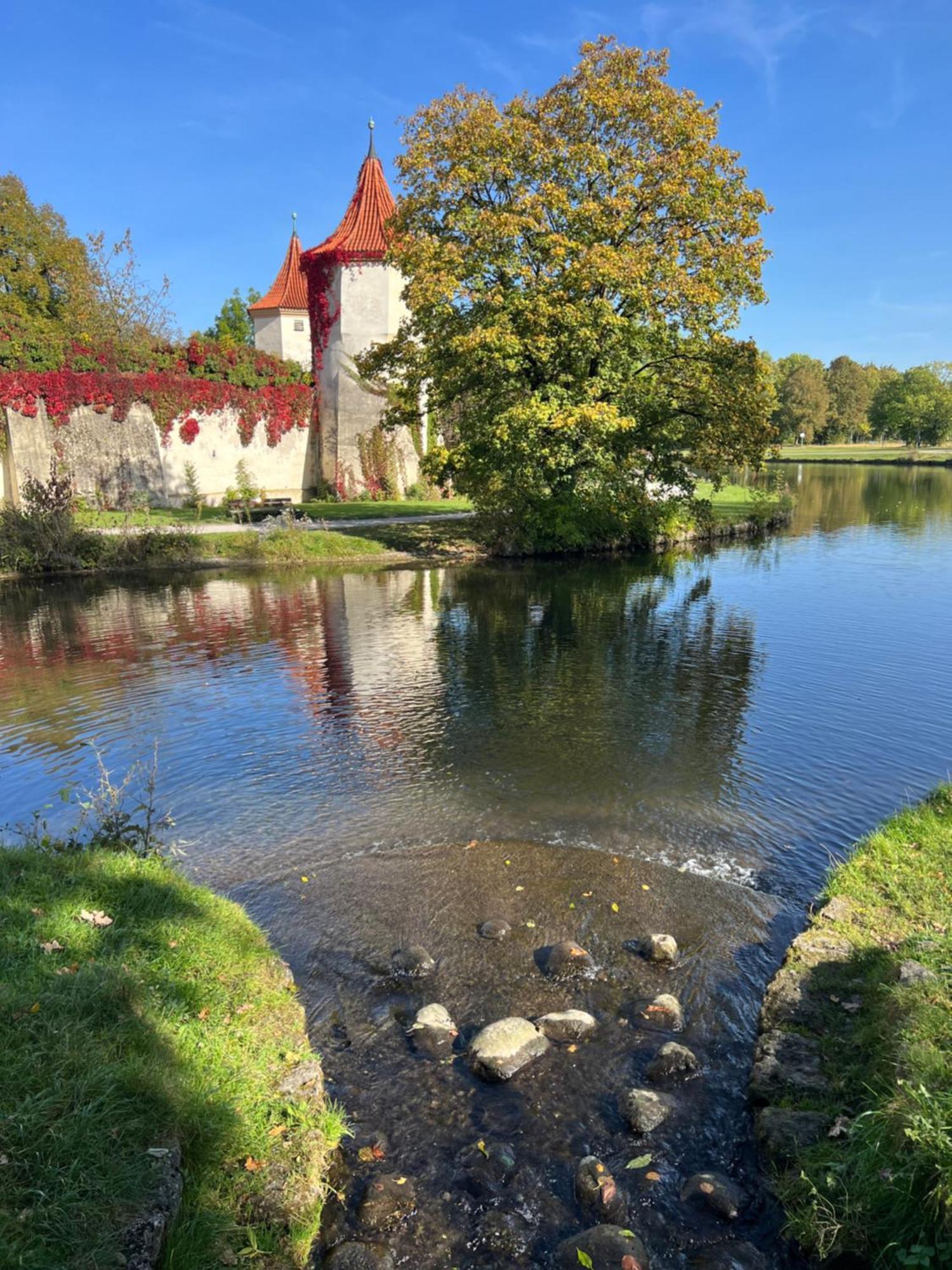 Privatzimmer 15 Qm Mit Gemeinschaftsbad Münih Dış mekan fotoğraf